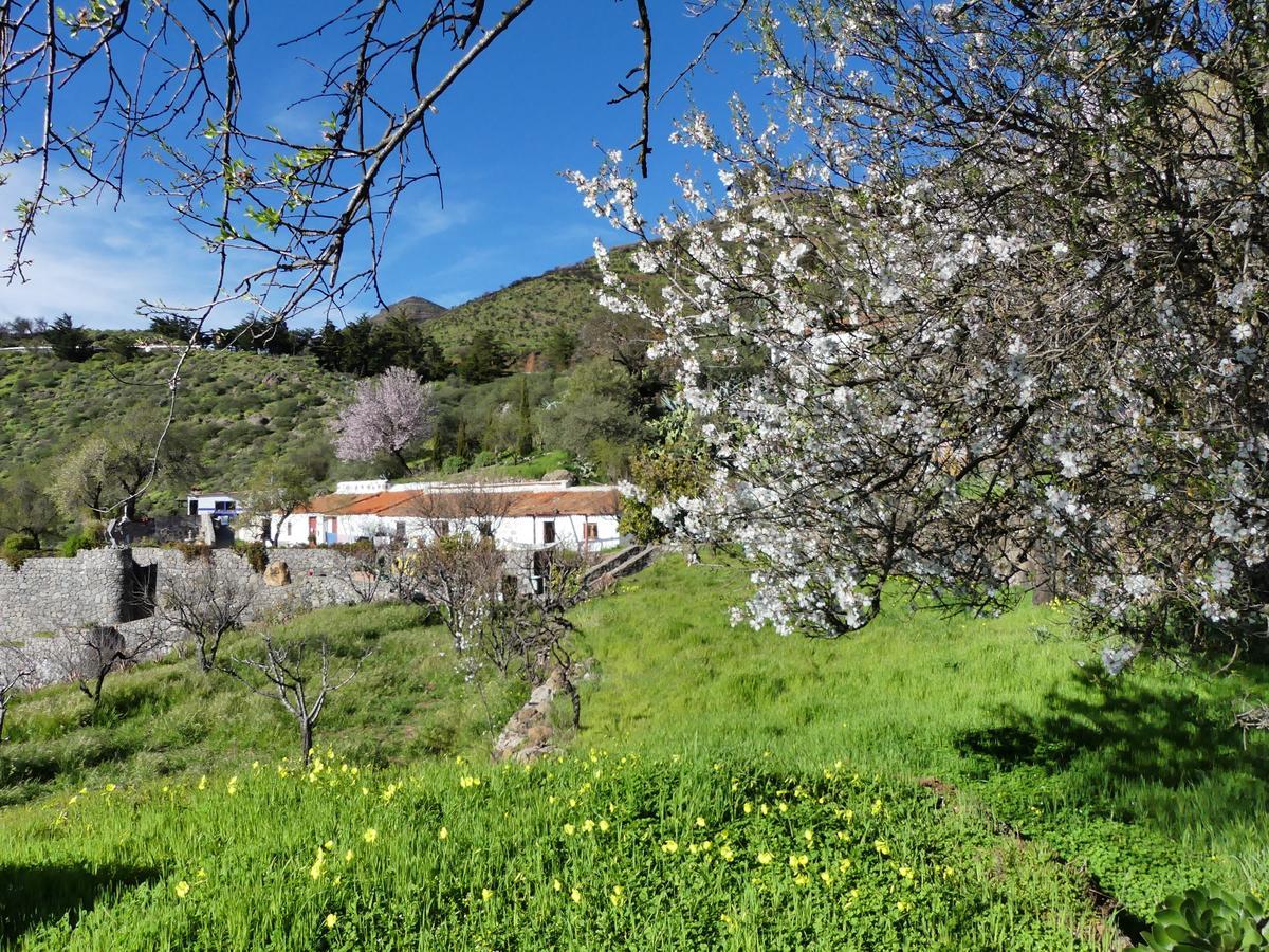 Mountain Finca La Isa By Rose *